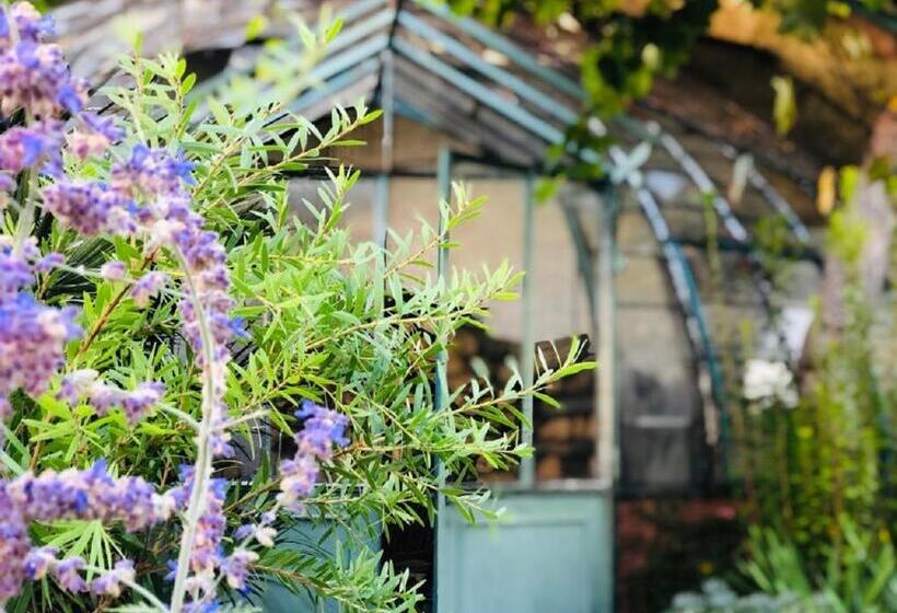 住宿加早餐 O Palmier Caché