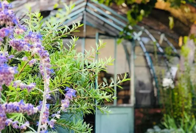 Aamiaismajoitus (B&B) O Palmier Caché