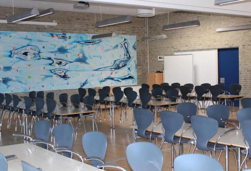 Cămin Icv Sleepwell