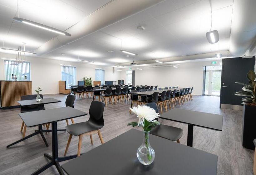 Cămin Icv Sleepwell