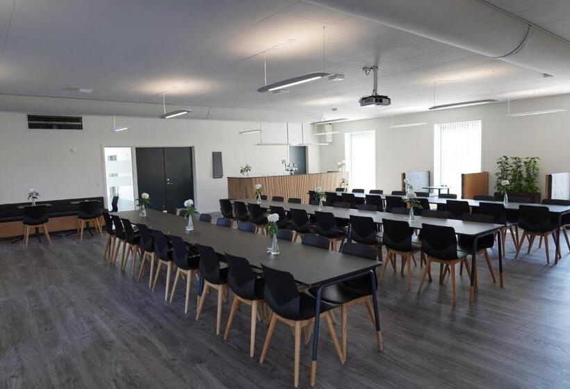 Cămin Icv Sleepwell