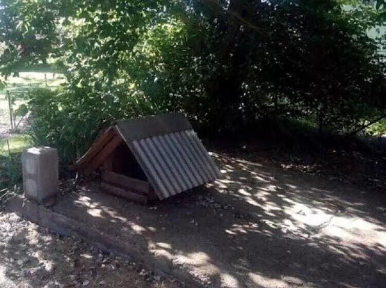 ホテル Guyra Summit Caravan Park