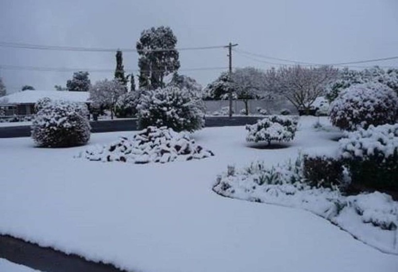 Отель Guyra Summit Caravan Park