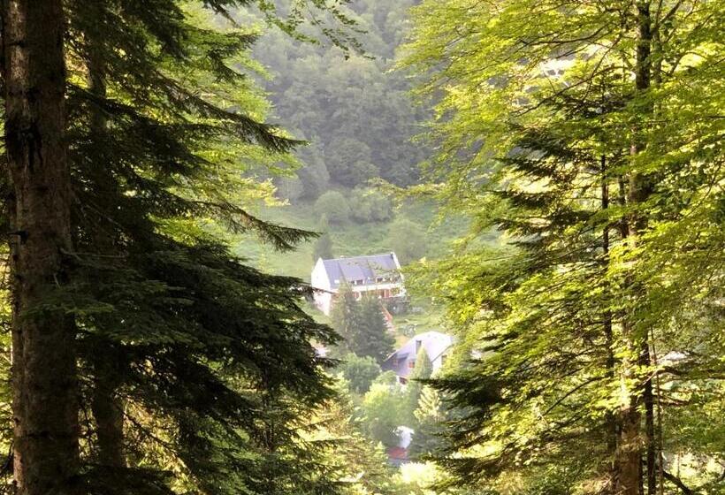 בית מלון כפרי Hôtel ô Chiroulet