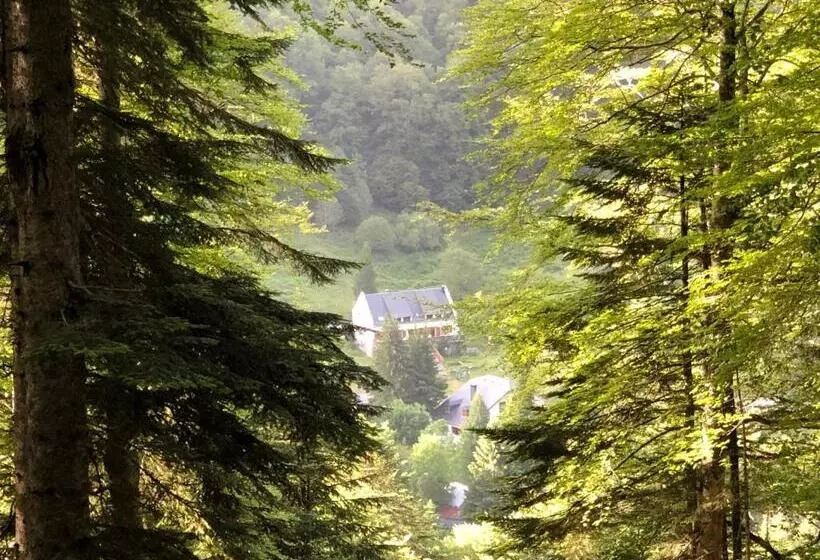 Hotelli Hôtel ô Chiroulet