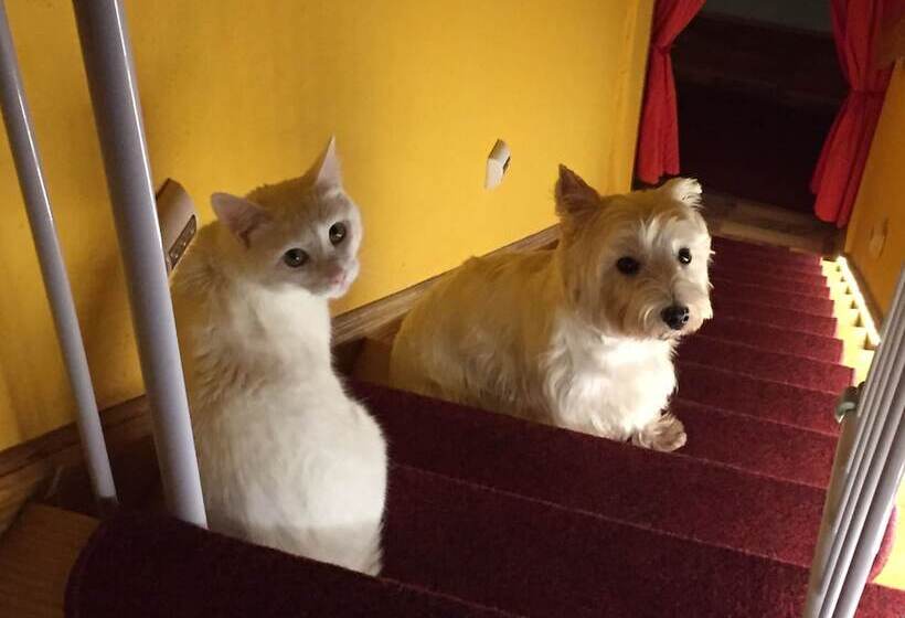 Отель Schützenhaus