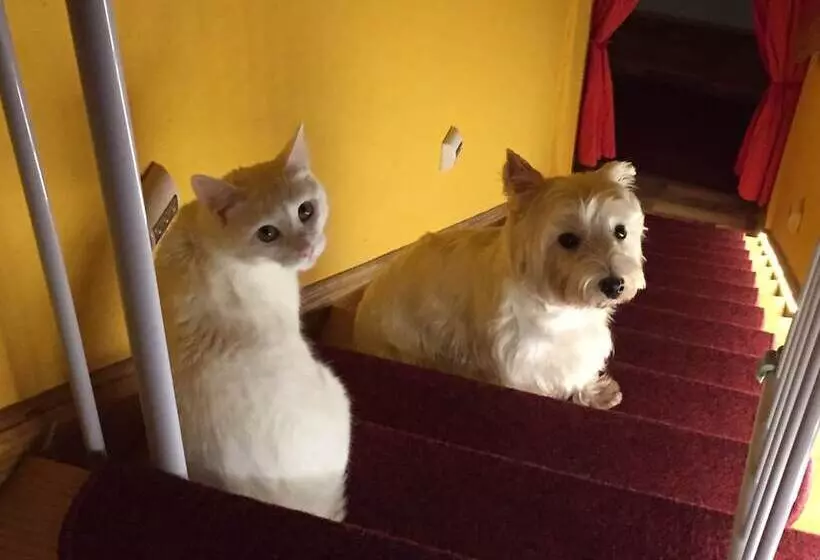 Hotelli Schützenhaus