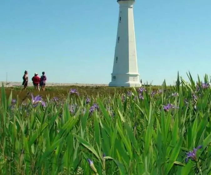 Mama`s By The Sea B&b