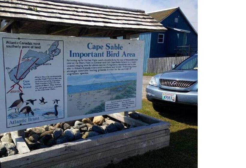 Mama`s By The Sea B&b