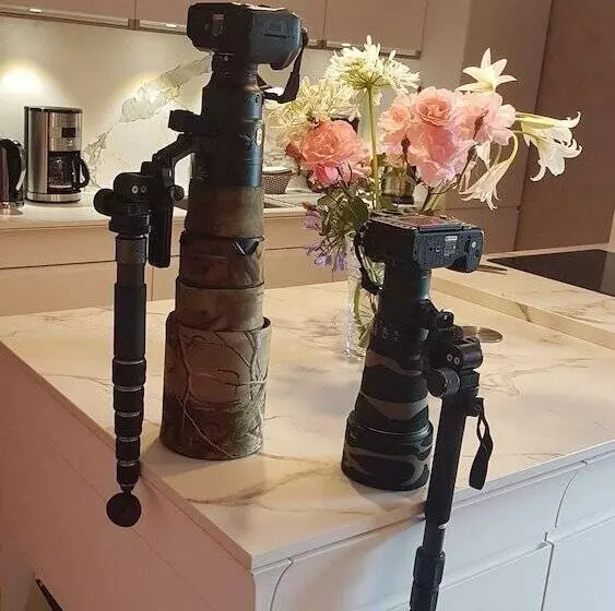 Majatalo Chambres D Hôtes Et Gites De Lanevry