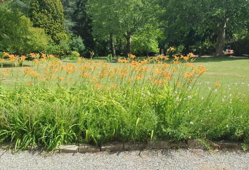 ペンション Chateau De Viviez