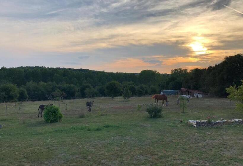 Пансион Junior Suite Le Pied De Mulet