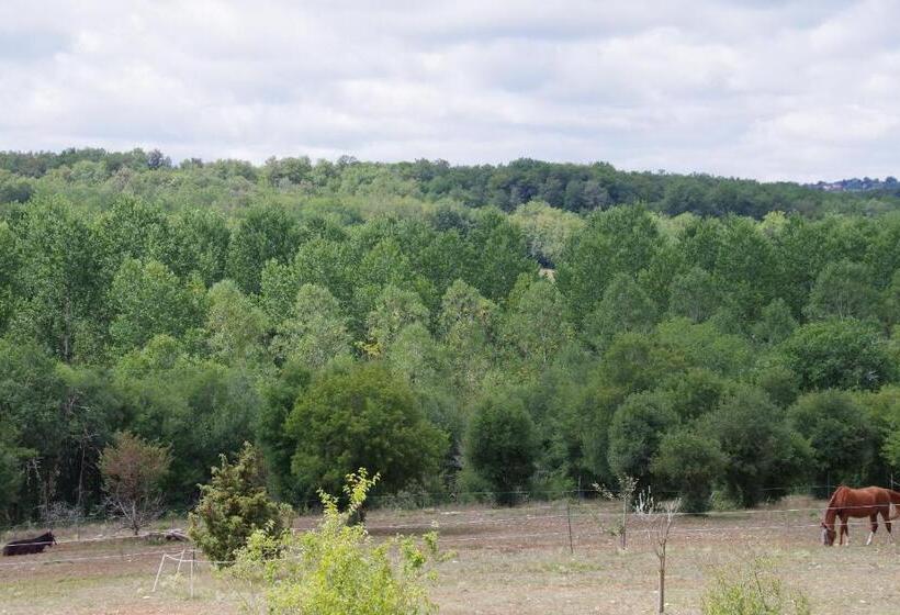 Пансион Junior Suite Le Pied De Mulet