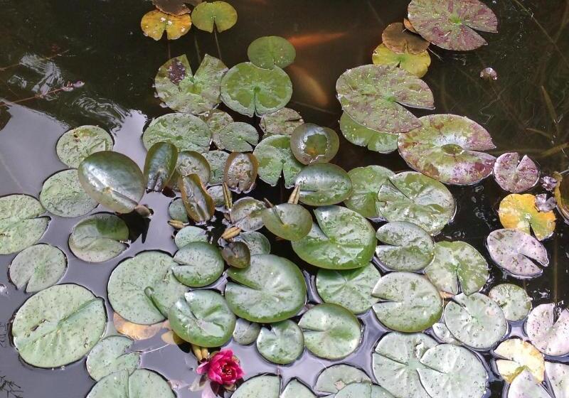 펜션 L Hôme Du Monde