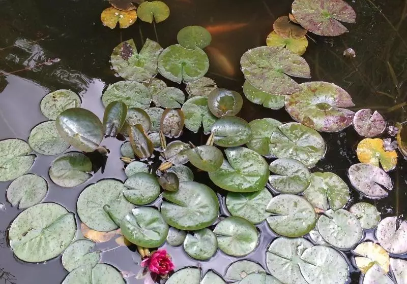 ペンション L Hôme Du Monde