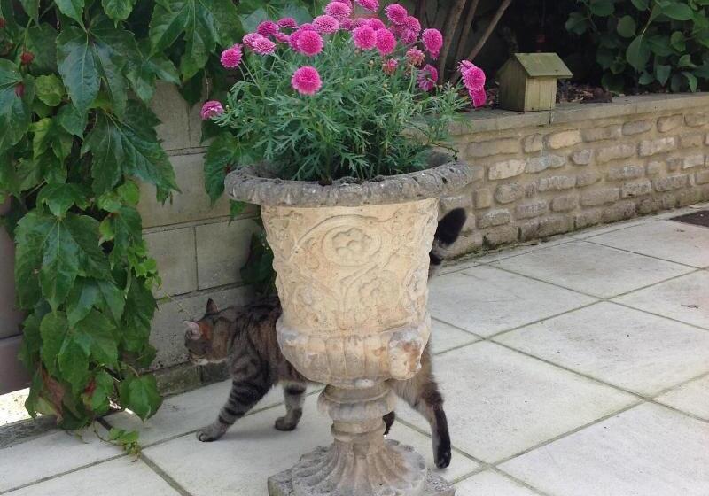 펜션 L Hôme Du Monde