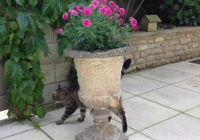 ペンション L Hôme Du Monde