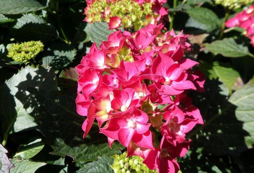 פנסיון Les Puits Bessin Normandie