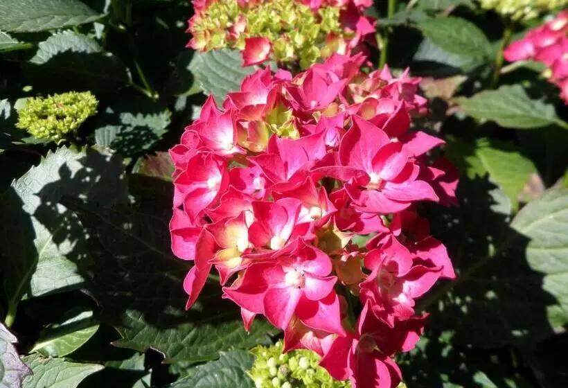 ペンション Les Puits Bessin Normandie