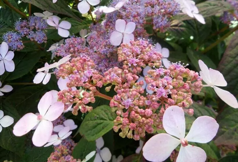 ペンション Les Puits Bessin Normandie