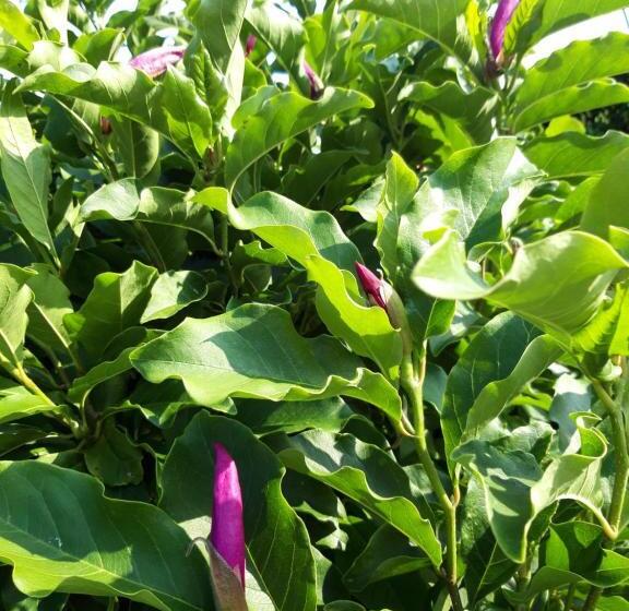 פנסיון Les Puits Bessin Normandie