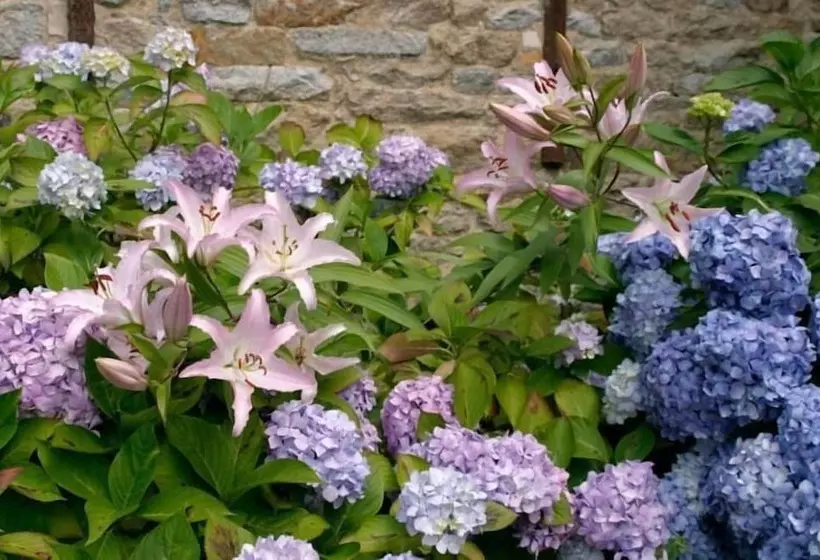 Majatalo Loargann Chambres D Hôtes