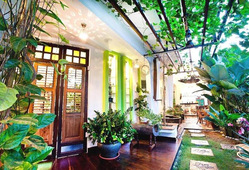 膳宿费 Vince Villa