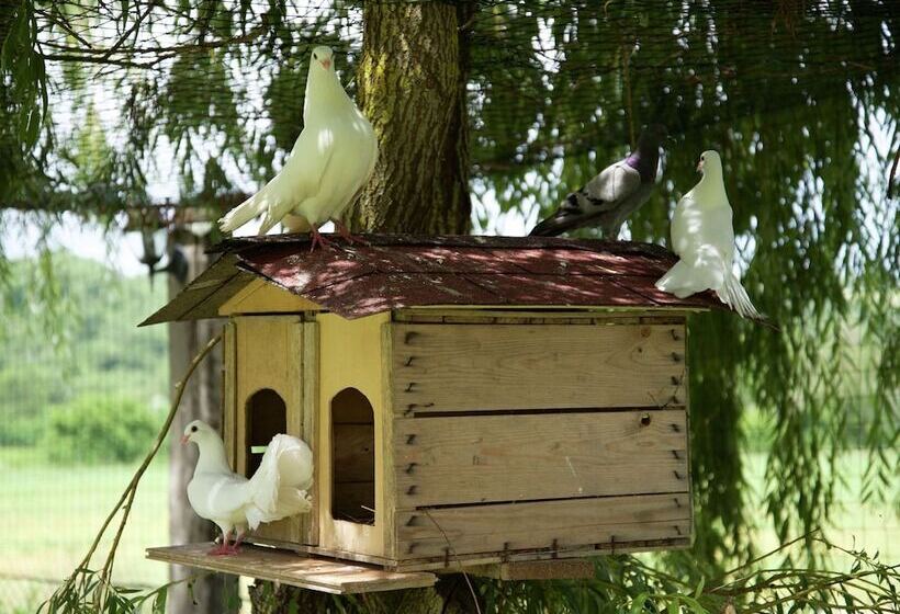 Detached House For 4 People With Stunning Views Of Estate