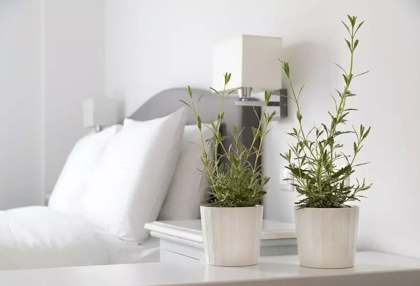 Majatalo Guesthouse Niriides