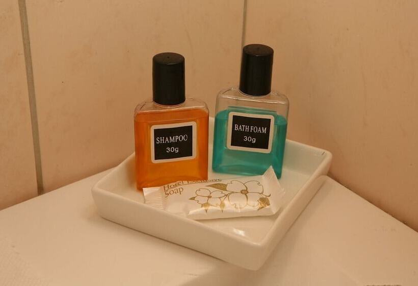 פנסיון Michaelangelo Boutique Parga