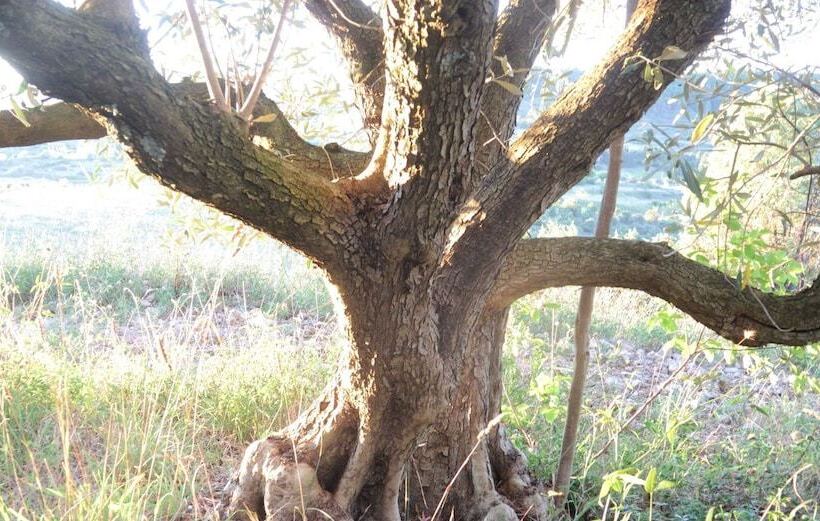 بنسيون Eco Domaine & Spa Chambres D Hôtes