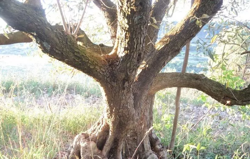 Majatalo Eco Domaine & Spa Chambres D Hôtes