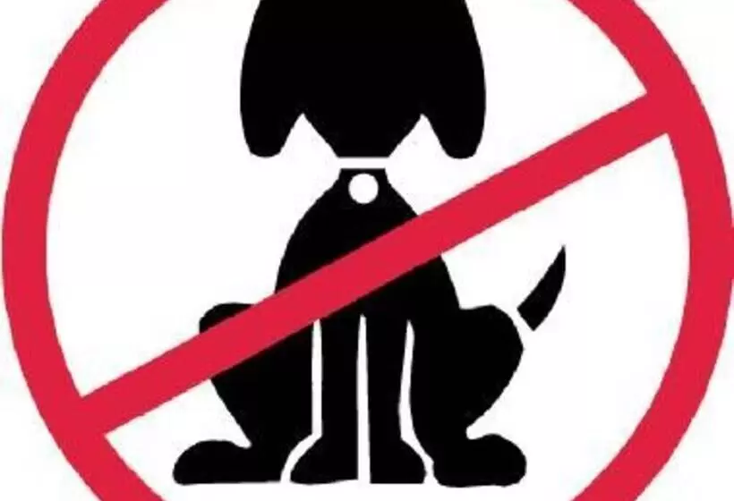 Birch Lodge 16, Newton Stewart