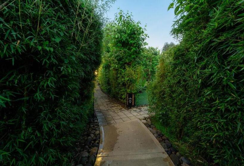 هتل Amarembo By Touch Down