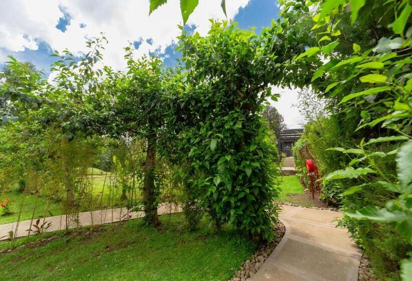 هتل Amarembo By Touch Down