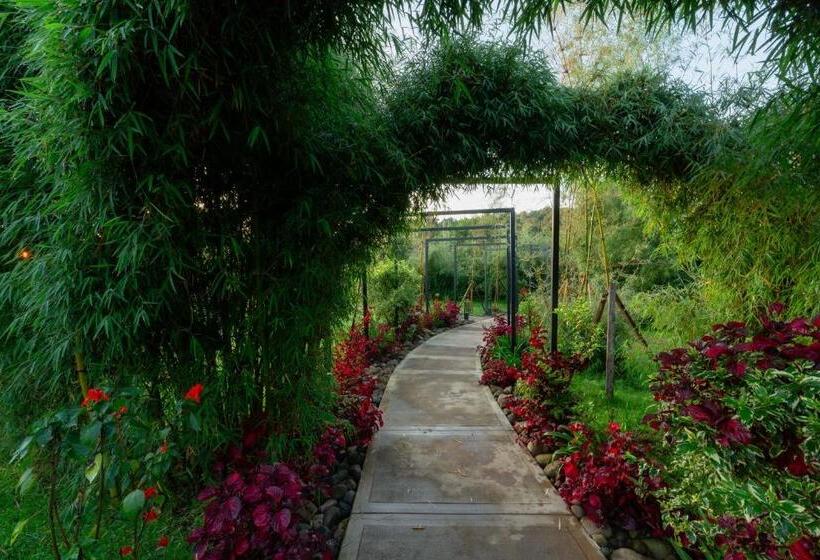 هتل Amarembo By Touch Down