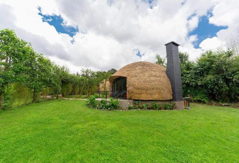 هتل Amarembo By Touch Down