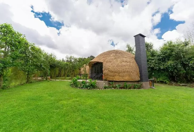 هتل Amarembo By Touch Down