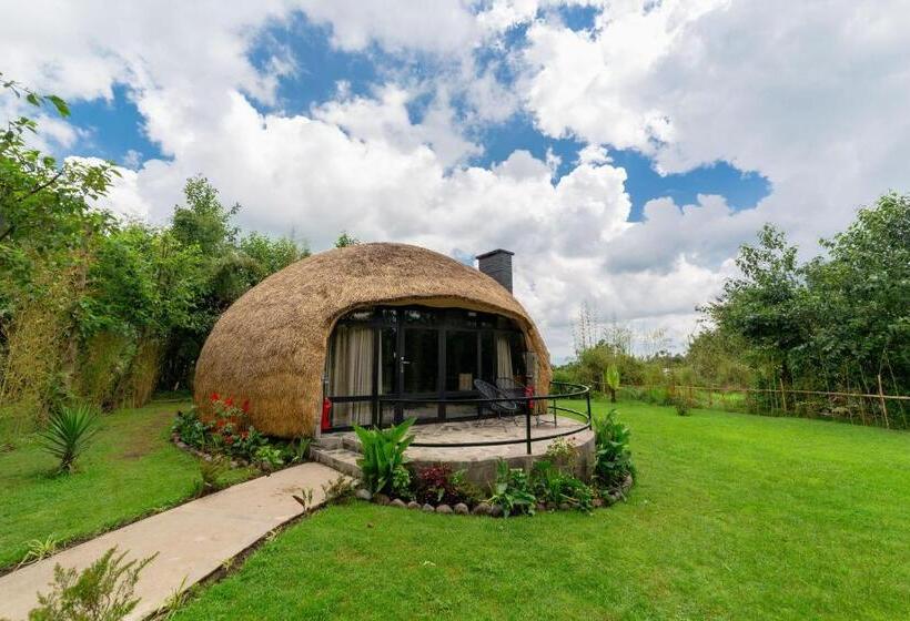 هتل Amarembo By Touch Down