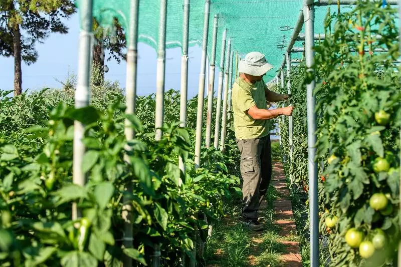 Lomakeskus Alexandra Elegance Bridging Generations