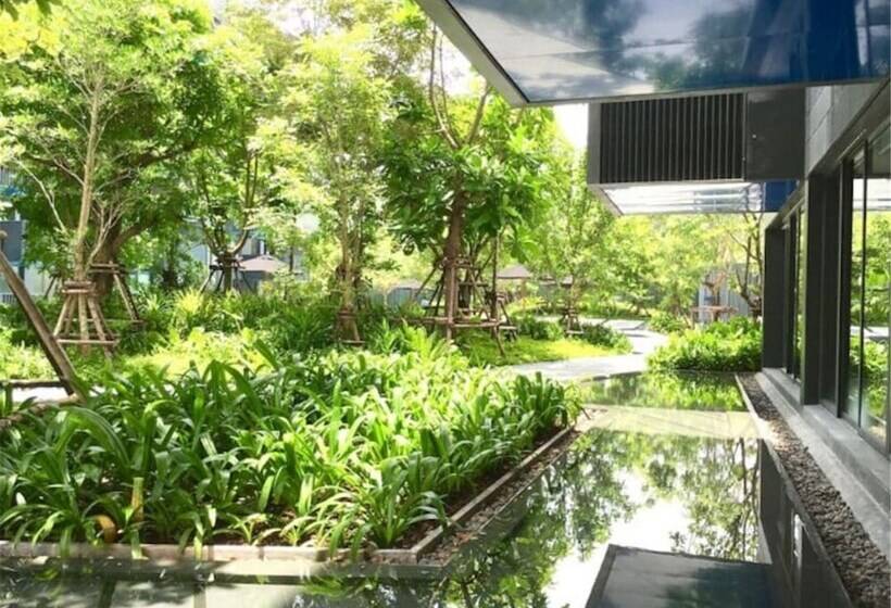 The Deck Patong By Vip