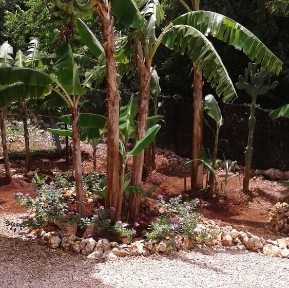 تختخواب و صبحانه The Tomlinson S House