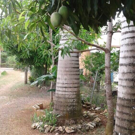 تختخواب و صبحانه The Tomlinson S House