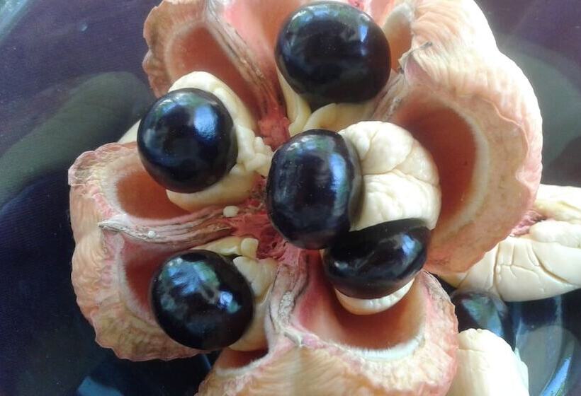 تختخواب و صبحانه The Tomlinson S House