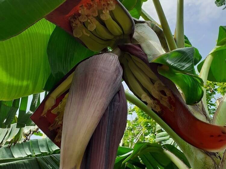 تختخواب و صبحانه The Tomlinson S House