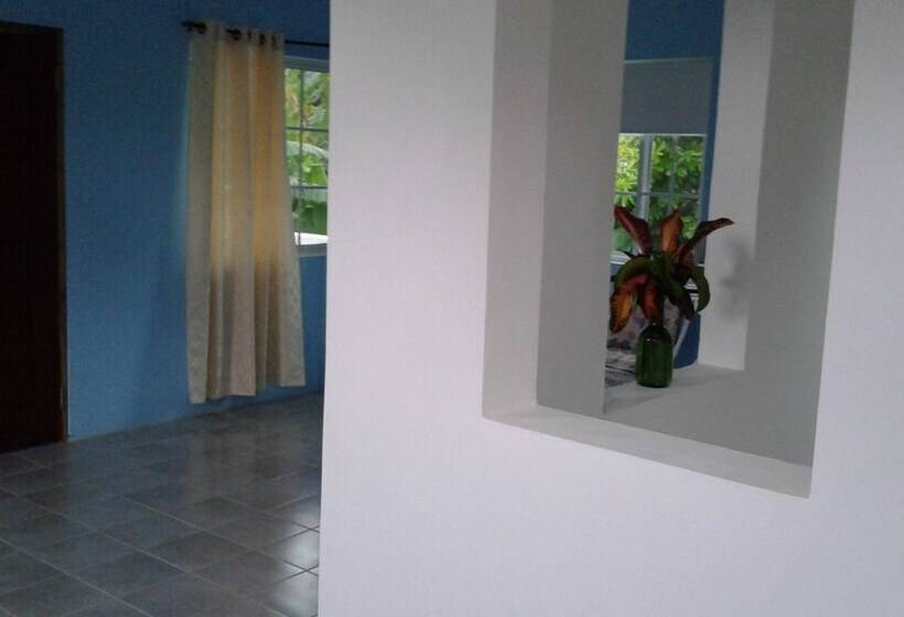 تختخواب و صبحانه The Tomlinson S House