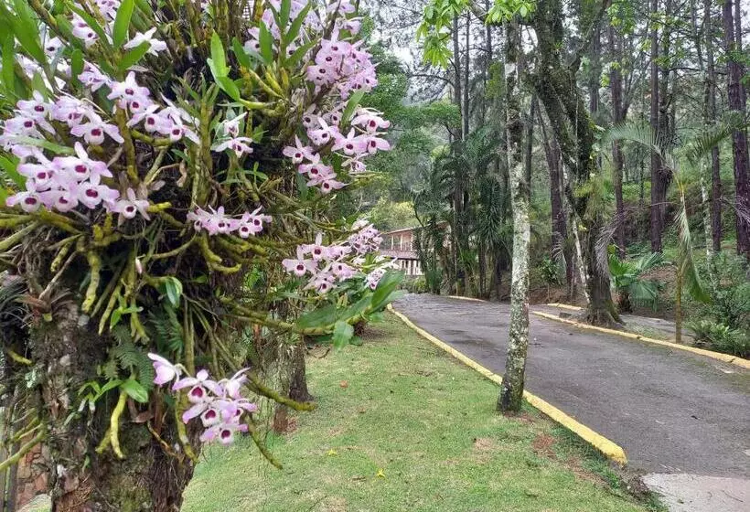 Hotelli Pousada Green Garden