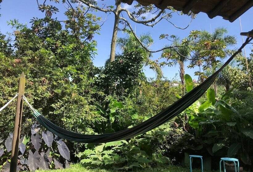 Viga Vieja El Jardin By Nomad Guru