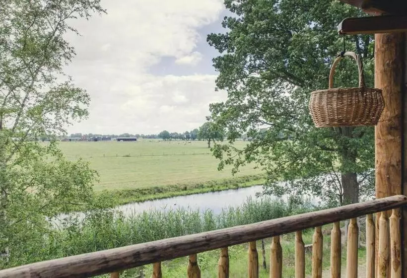استراحتگاه Tree House