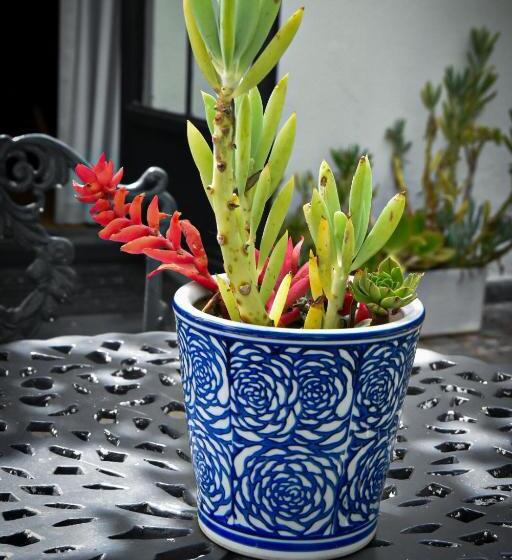 צימר Beautiful Betty Guesthouse